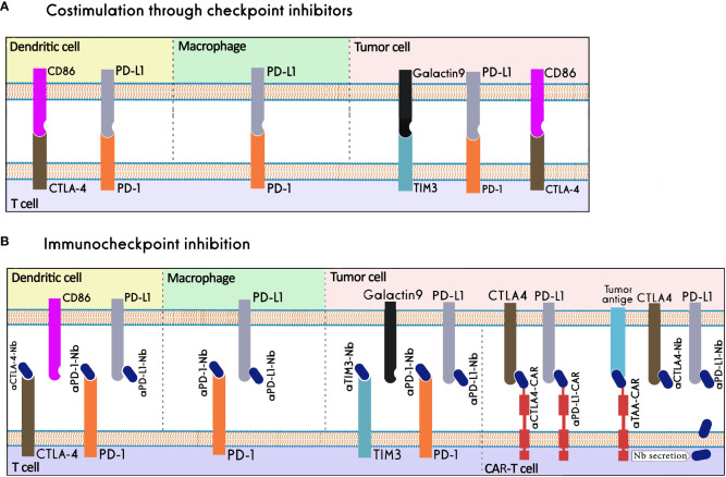 Figure 6