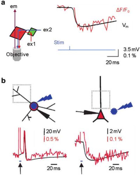 Fig. 4.9