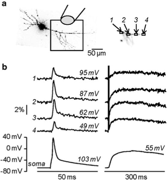 Fig. 4.8