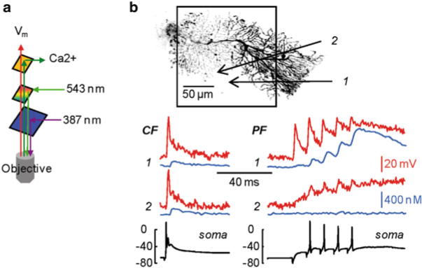 Fig. 4.5