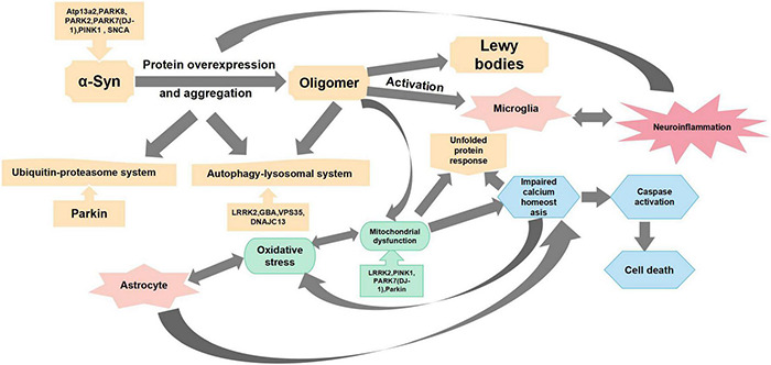 FIGURE 1