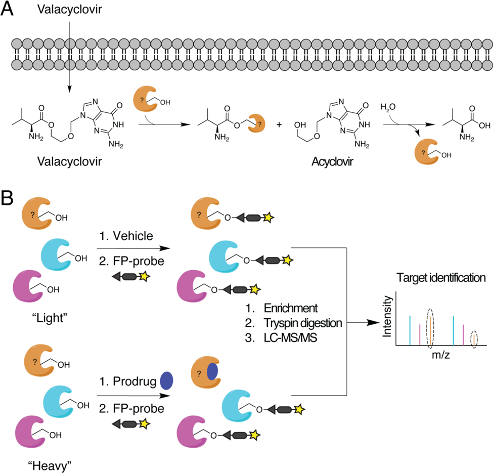 Figure 3: