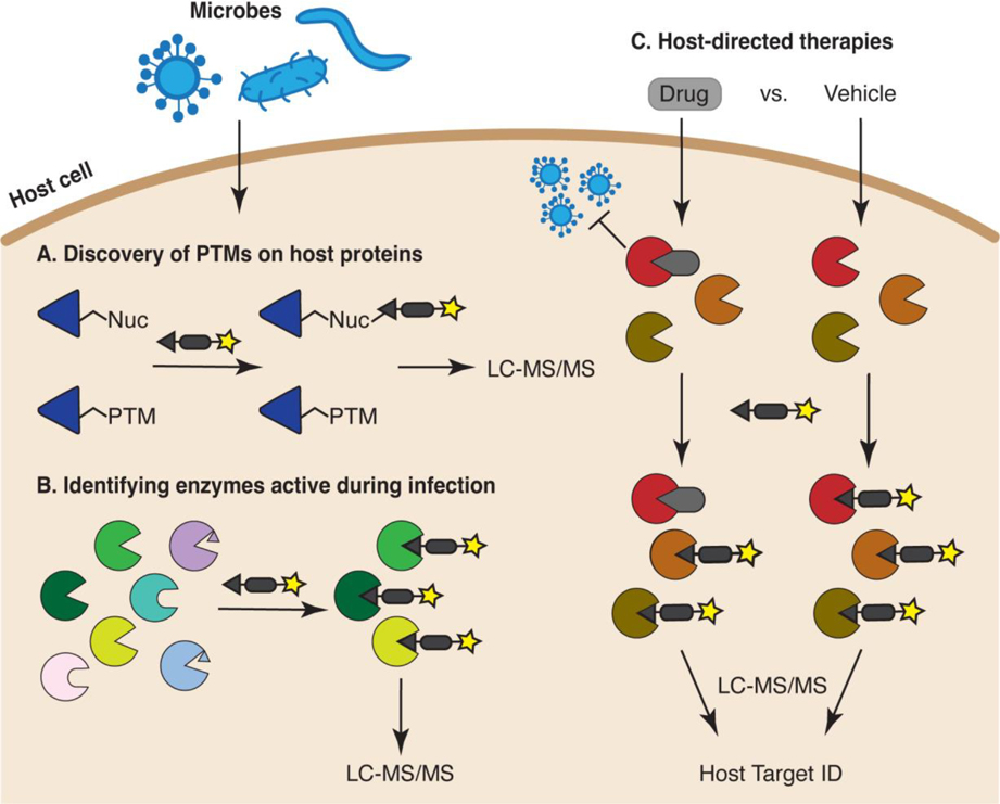 Figure 2: