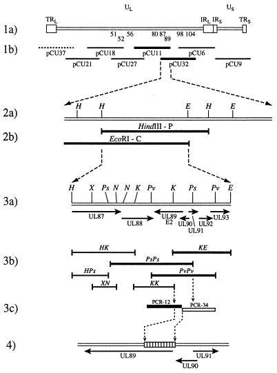 FIG. 6