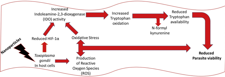 Fig. 10