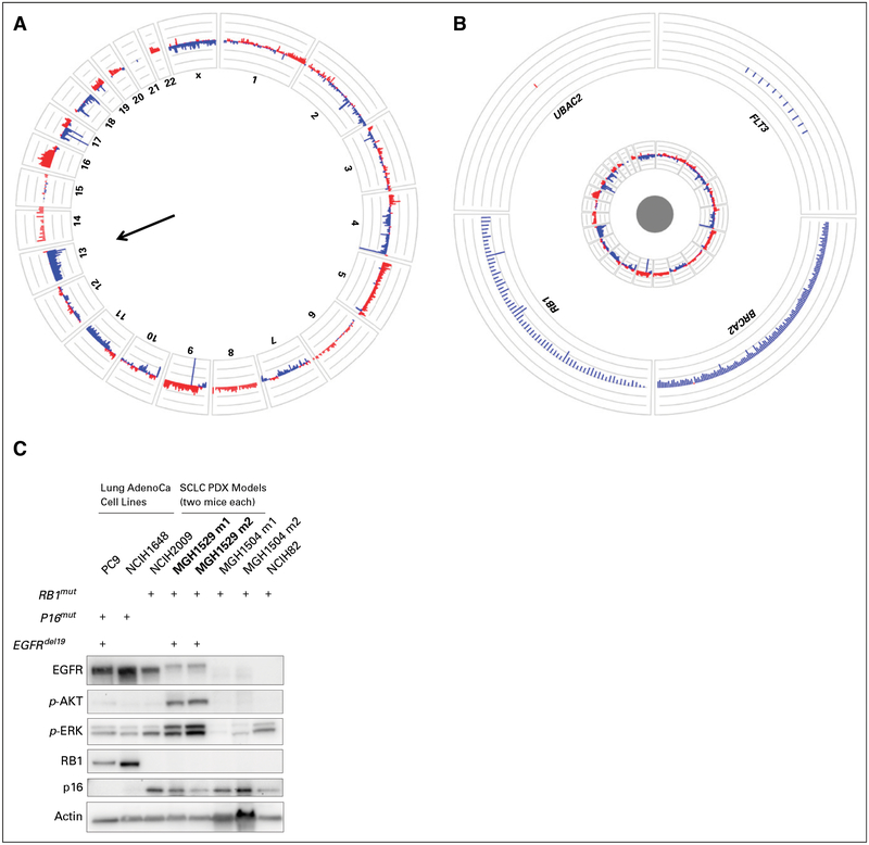 Fig 3.