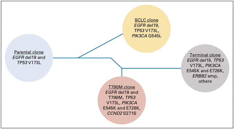 Fig 5.