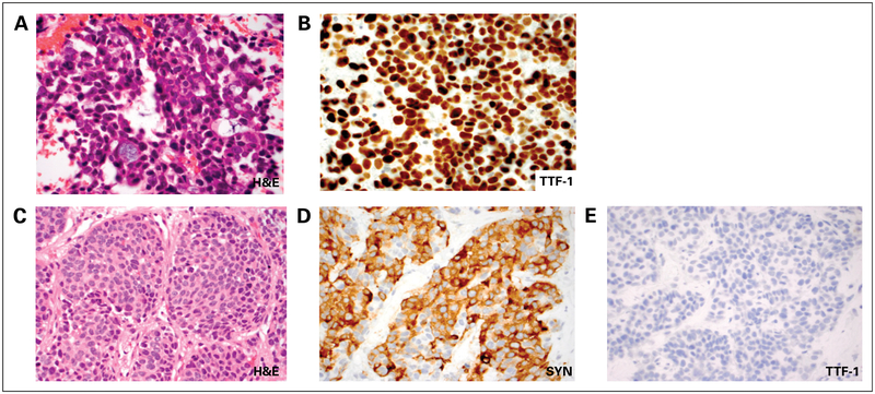 Fig 2.