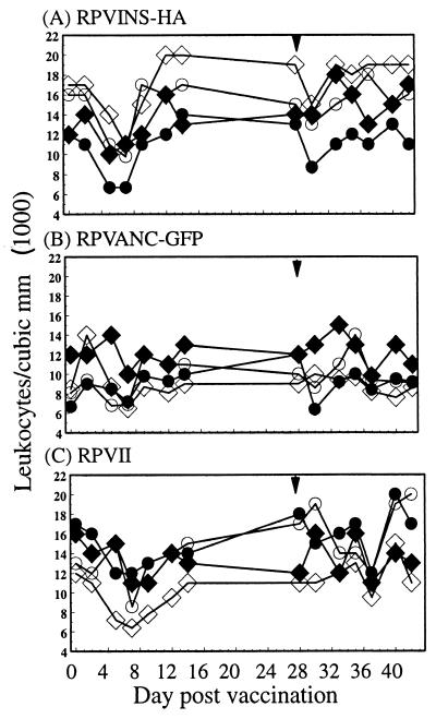 FIG. 7