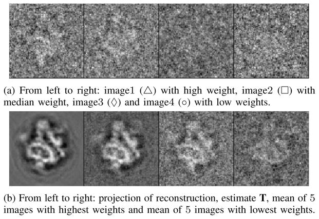 Fig. 12