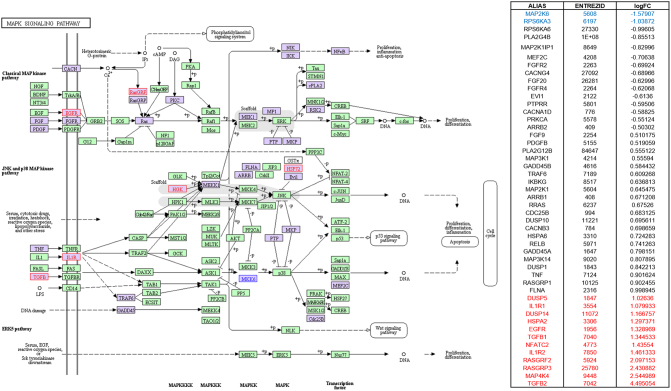 Supplementary Figure 6