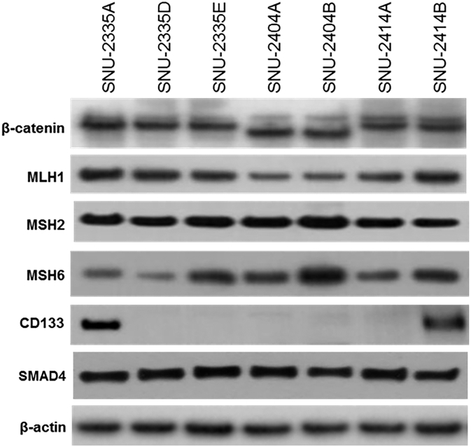 Supplementary Figure 1