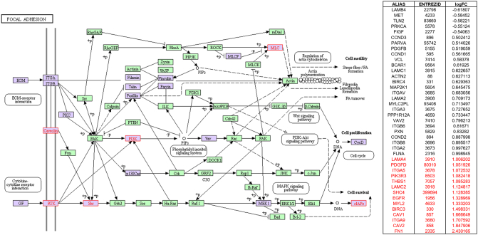 Supplementary Figure 5