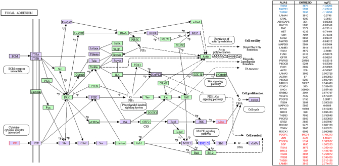 Supplementary Figure 10