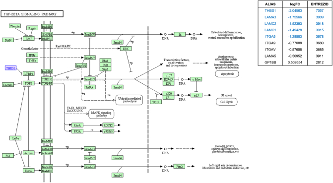 Supplementary Figure 9