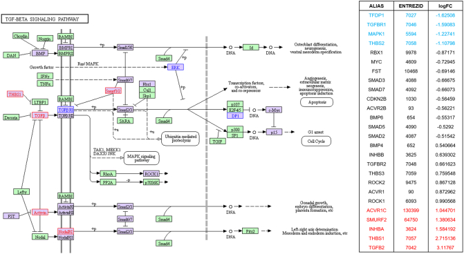 Supplementary Figure 11