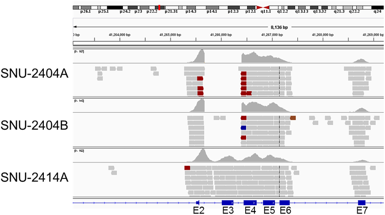 Supplementary Figure 2