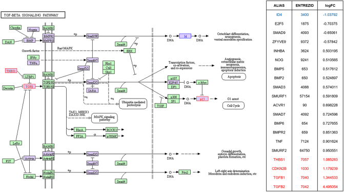 Supplementary Figure 7