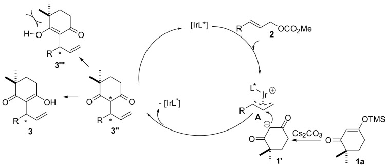 Scheme 5