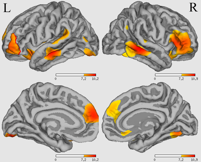 Figure 1: