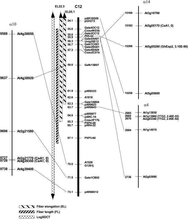 Figure 3.—