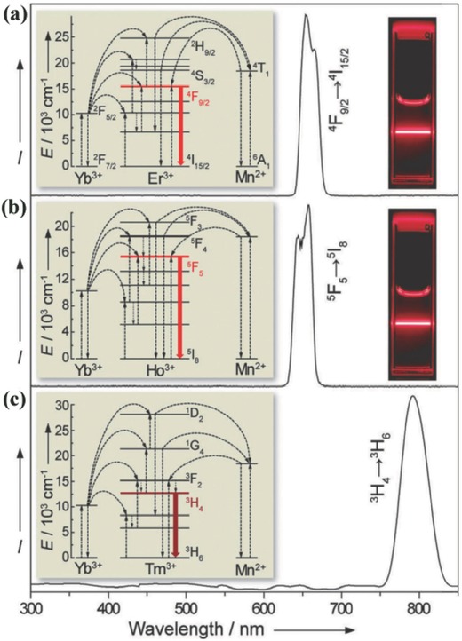 Figure 16