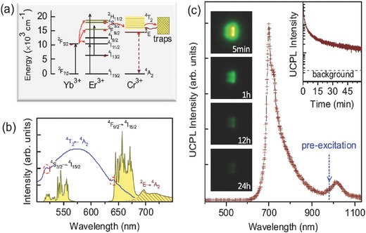 Figure 11