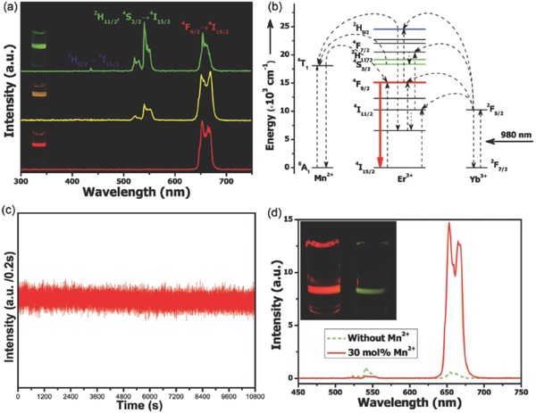 Figure 17