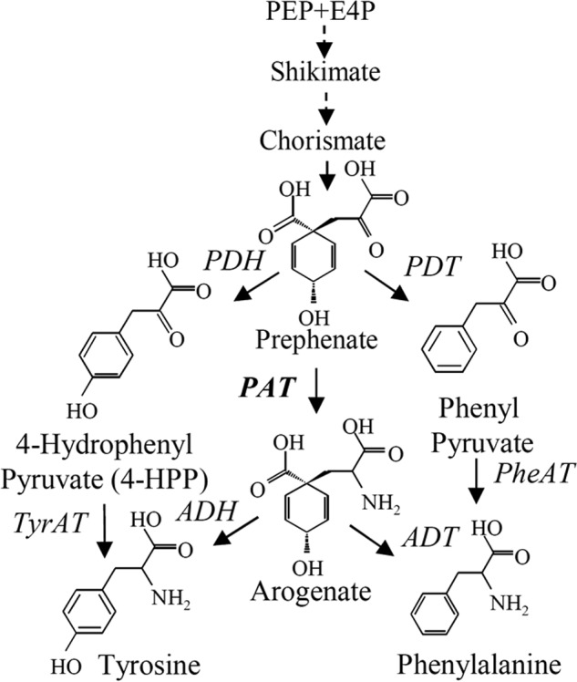 FIGURE 1.