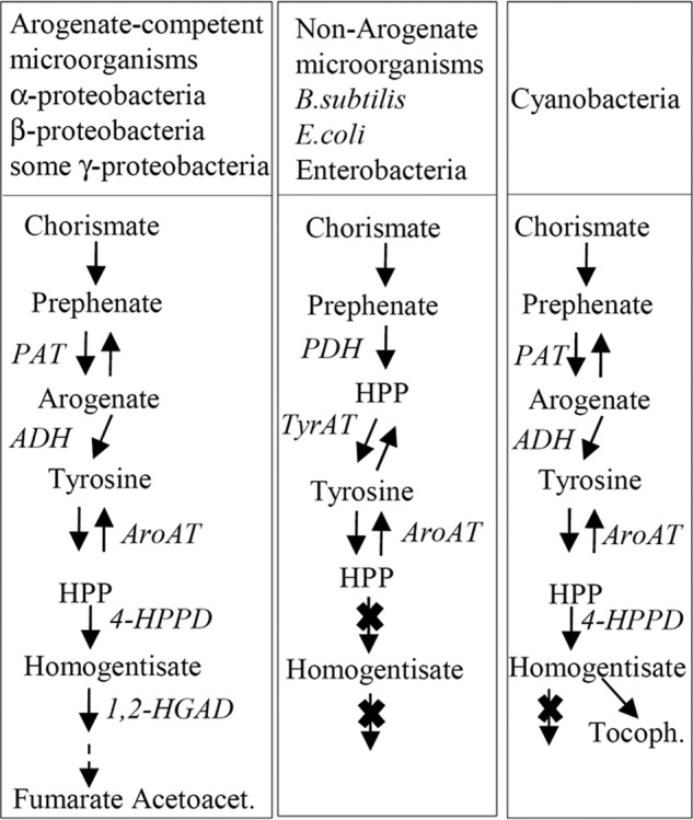 FIGURE 10.