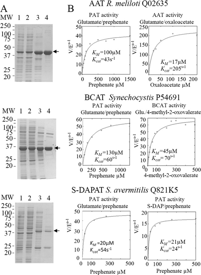 FIGURE 5.