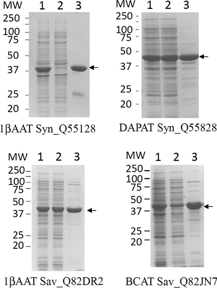 FIGURE 7.