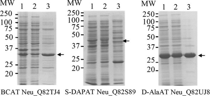 FIGURE 9.