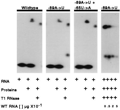 FIG. 5