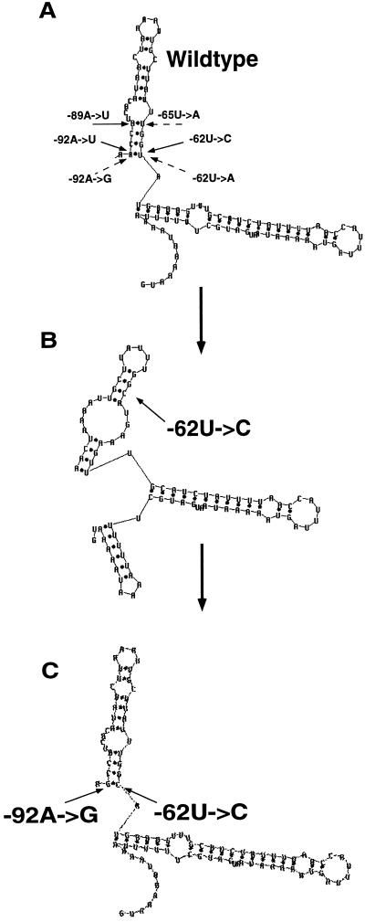 FIG. 3