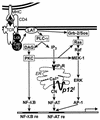 FIG. 7.