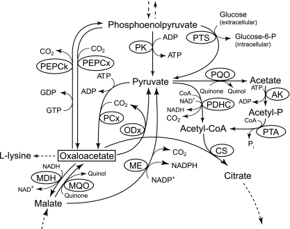 FIG. 1.