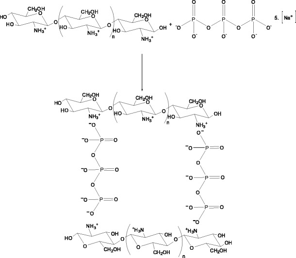 Fig. 12