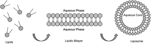 Fig. 43