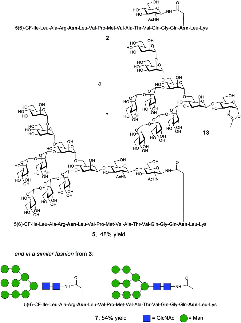 Scheme 3