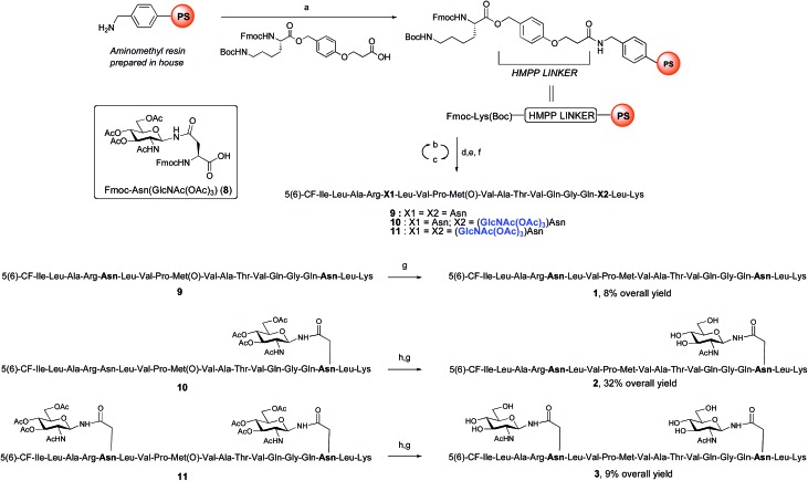 Scheme 1