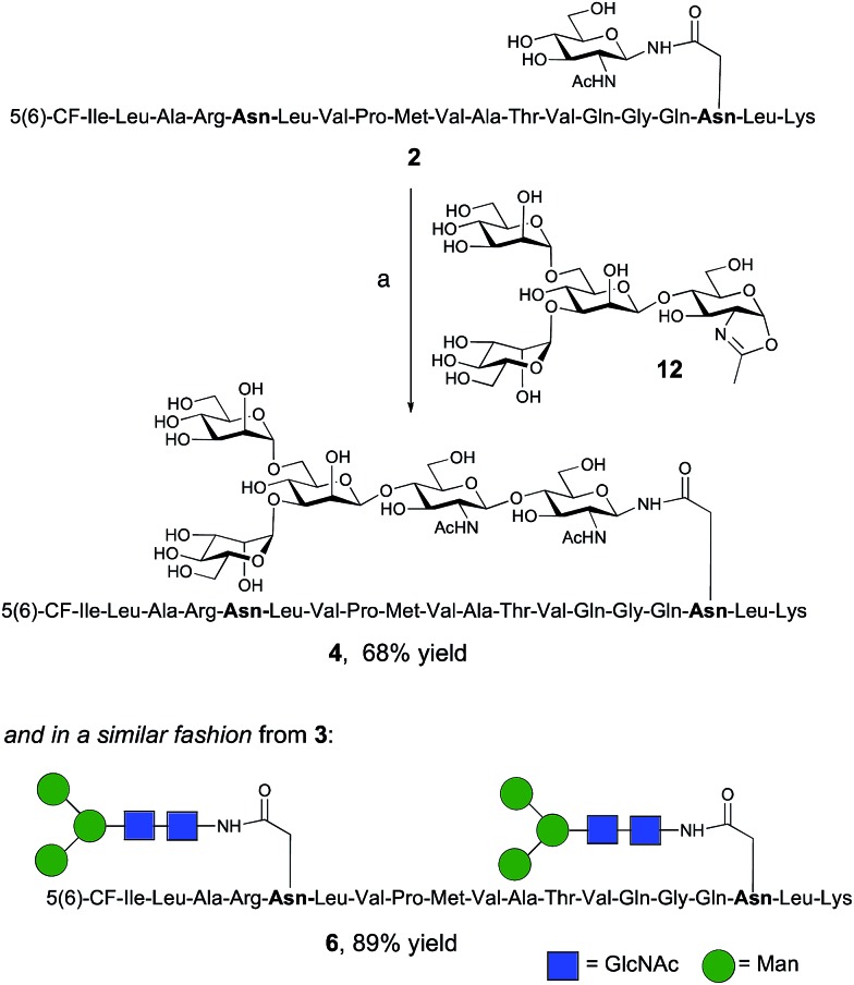 Scheme 2