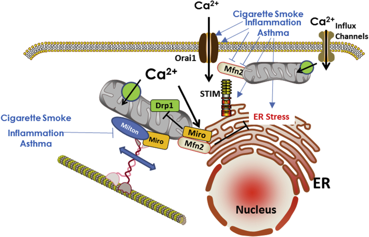 Figure 3