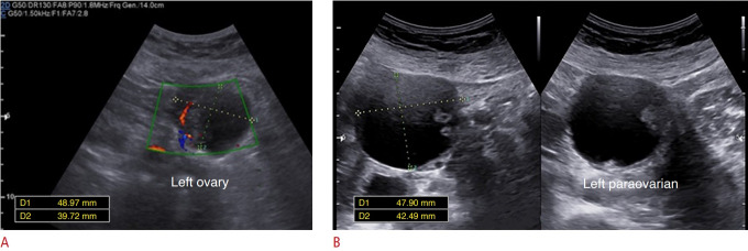 Fig. 5.