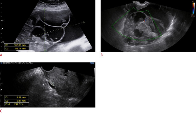 Fig. 8.