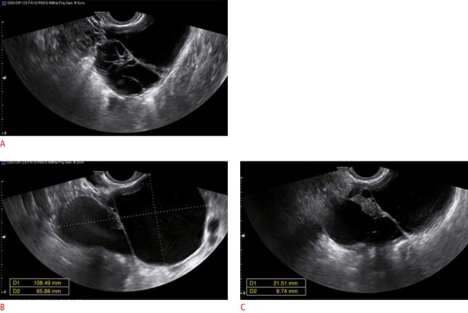 Fig. 6.