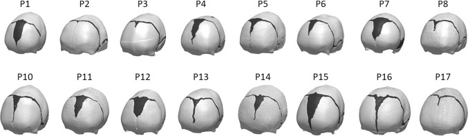 Fig. 2