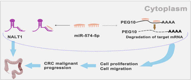 Fig. 9