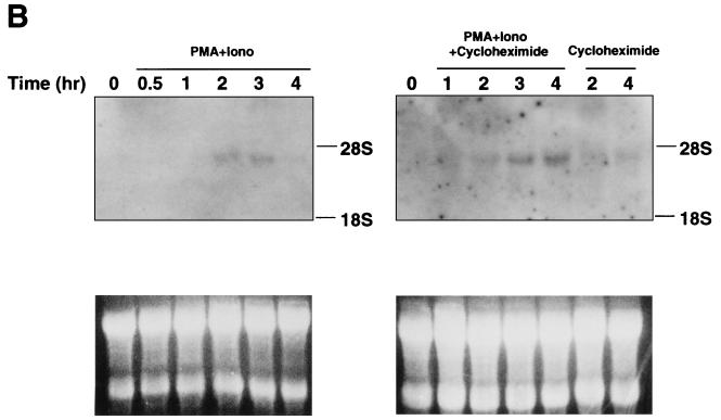 FIG. 6