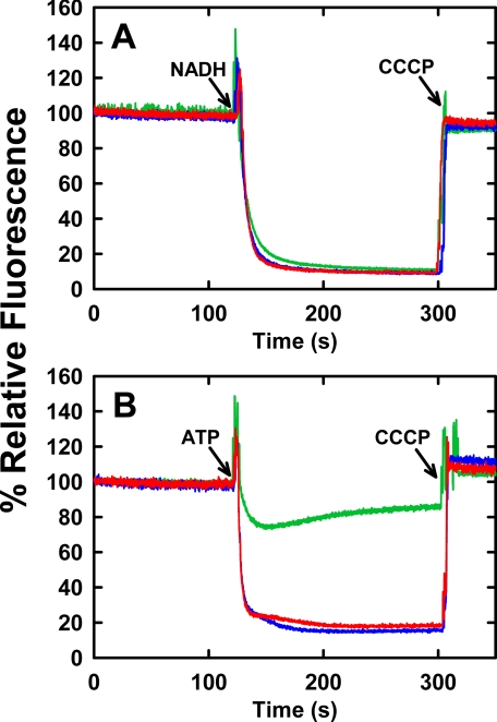 FIGURE 2.